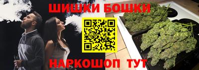 соль ск Будённовск