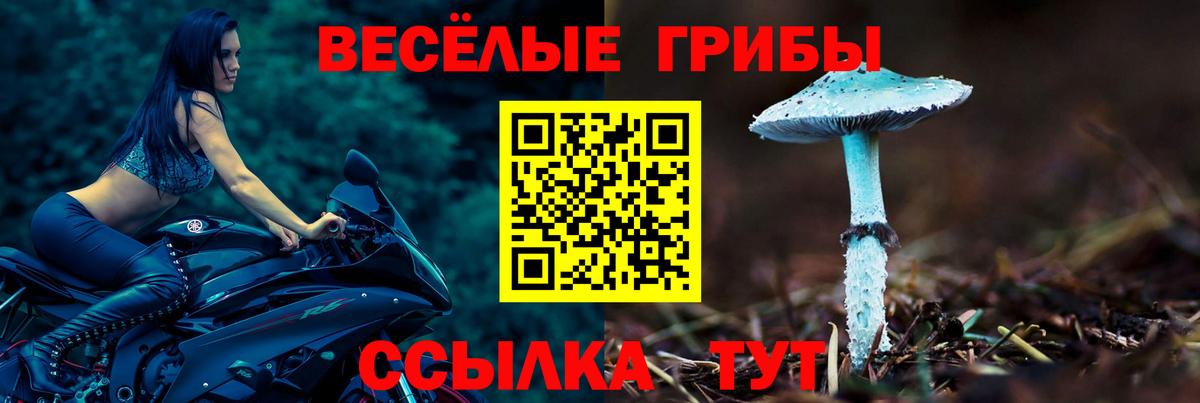 Самара  Псилоцибиновые грибы Cubensis  Вход с VPN  Галлюциногенные грибы Psilocybe 